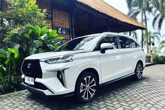 Private Car Charter in Bali with an English-speaking Driver - A private Bali day instead of a fixed tour