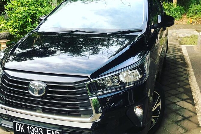 Private Car Charter in Bali with an English-speaking Driver - The drivers make or break the day