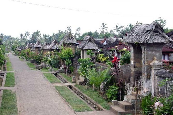 Private Chartered Car to Bali Temples With Besakih Temple - What the driver can add to the day