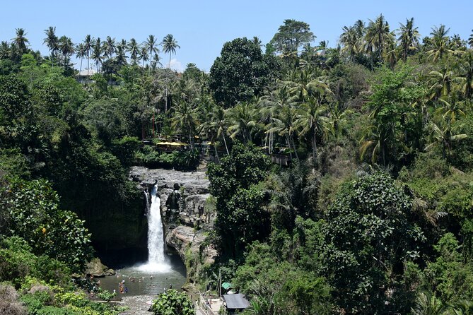 Private Customized Trip to Ubud - Aloha Ubud Swing and the cost of the photo stop