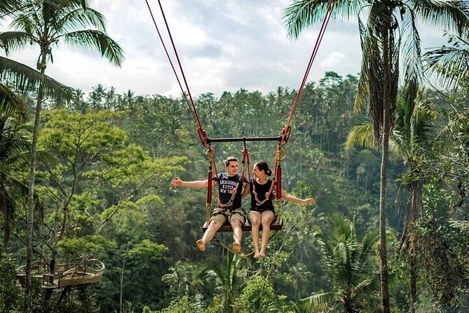 Private Day Tour In Ubud With Jungle Swing All Inclusive - Key points to know before booking