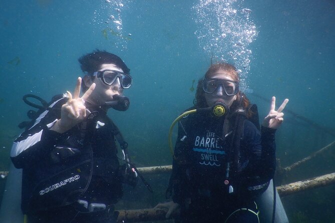 Private Diving Experience in Nusa Dua with Hotel Pick Up - A short underwater introduction in Nusa Dua
