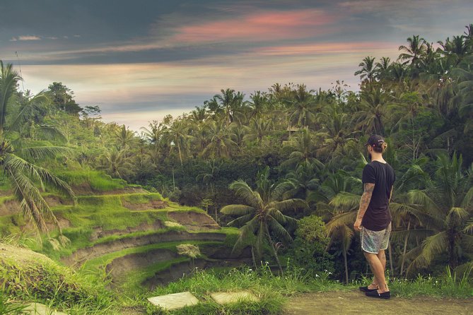 Private Full-Day Bali Tour - Tegenungan Waterfall and the cost of extra effort