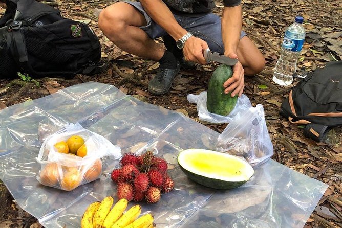 Private Full-Day Bukit Lawang Trekking Tour From Medan - Tube rafting down the river