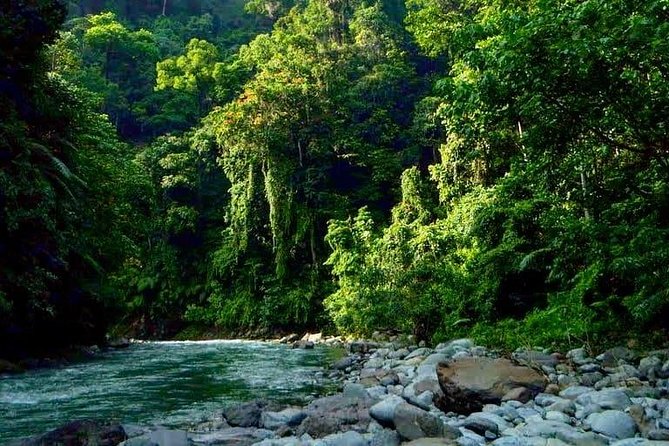 Private Full-Day Bukit Lawang Trekking Tour From Medan - Who will enjoy this trip most