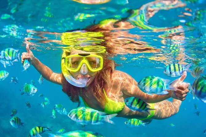 Private Full-Day Lovina Dolphin Watching and Snorkeling Boat Tour - Handara Gate is a quick photo stop, not a full attraction