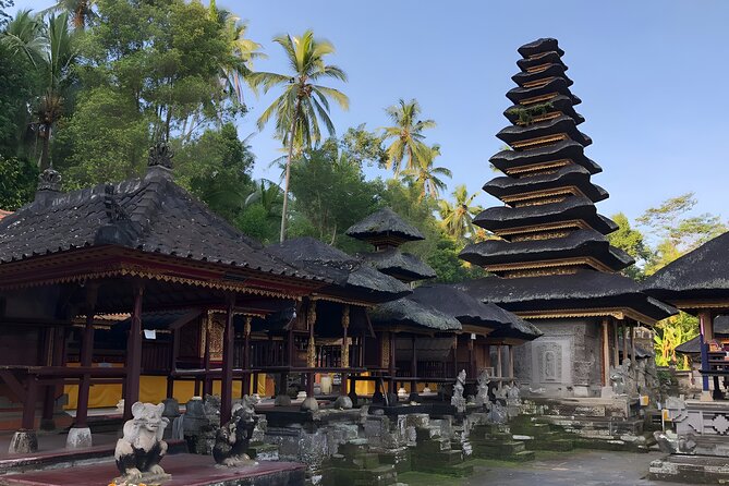 Private Full-Day Temple Tour: Bali Archaeology Tours - What the $40 price means