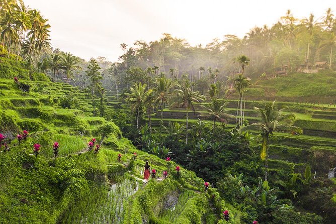 Private Full-Day Tour: Balinese Temples and Rice Terraces - Tegalalang Rice Terrace, a short walk through working fields