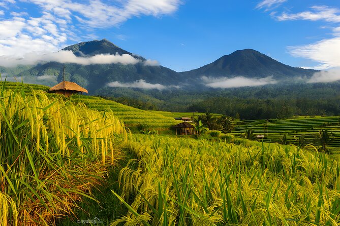 Private Full-Day Tour: Discover The Best of Bali Destination - Why this route works for a full day