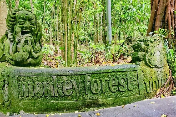 Private Full-Day Tour in Bali & FREE WIFI - Ubud choices: monkeys, a waterfall, rice fields, and holy springs