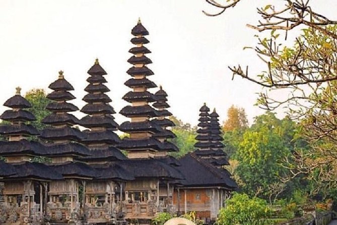 Private Full-Day Tour Jatiluwih Rice Terrace and Tanah Lot Temple - What the private guide adds