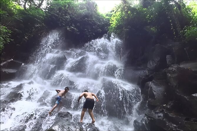 Private Full-Day Tour: The Beauty of Bali Waterfall Trip - How demanding is the walking?