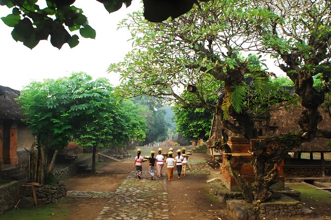 Private Full-Day Tour: The Gate of Heaven and East Bali Trip - Guides, lunch, and the value of the package