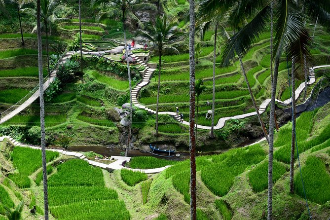 Private Full Day Tour to Ubud Highlights with Giant Swing - What the $73 price really covers