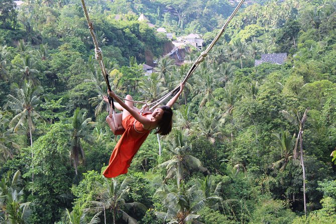 Private Full Day Tour to Ubud Highlights with Giant Swing - Picheaven Bali Swing and a full menu of photo spots