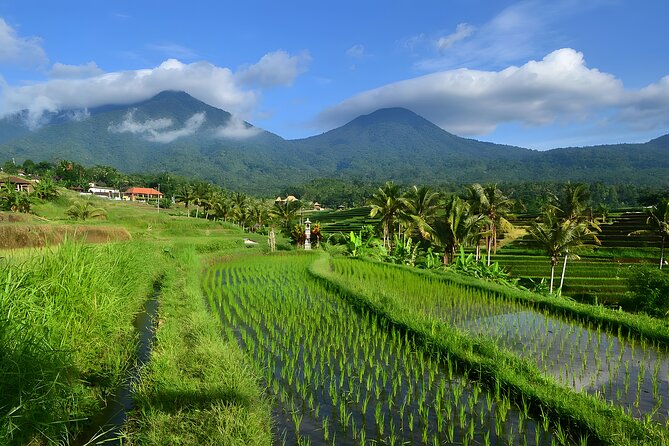 Private Full-Day Tour: Ulun Danu Beratan Temple, Jatiluwih and Tanah Lot Temple - Why this private Bali day trip covers so much ground