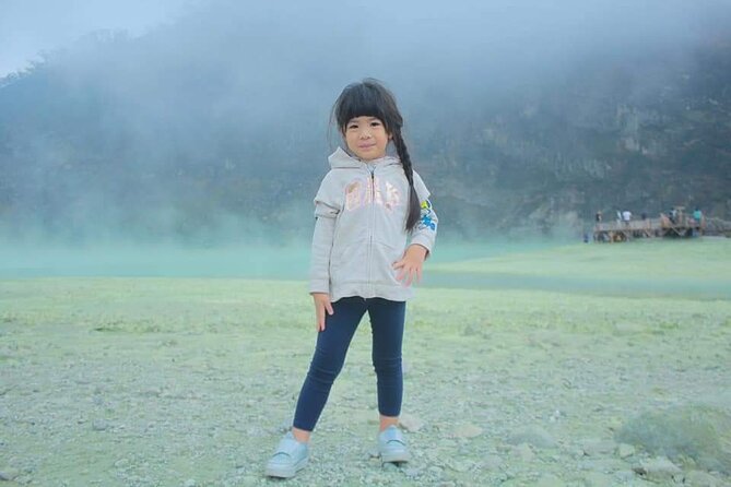 Private Guide Bandung Tour Car Charter - South Bandung: Kawah Putih and the tea country