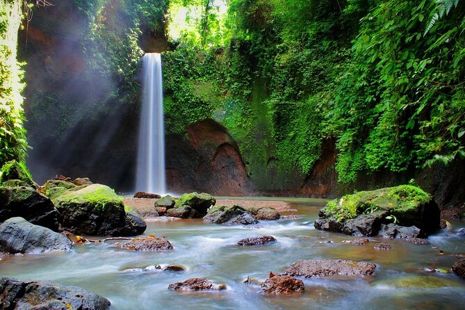 Private Inclusive Tour: The Best Of Ubud With Jungle Swing - Tegalalang Rice Terrace Brings the Classic Ubud View
