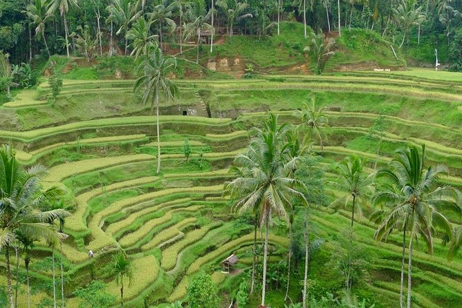Private Inclusive Tours: 2 Days highlight of Bali - Day one: Batuan carvings and a village temple