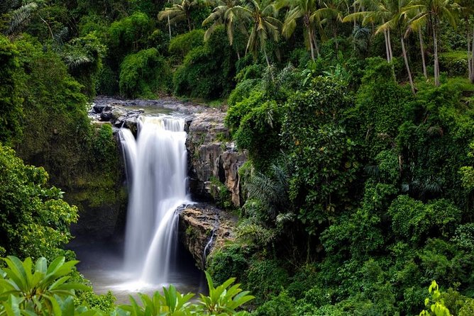 Private Inclusive Tours: 2 Days highlight of Bali - Sacred Monkey Forest: impressive, lively, and worth paying attention