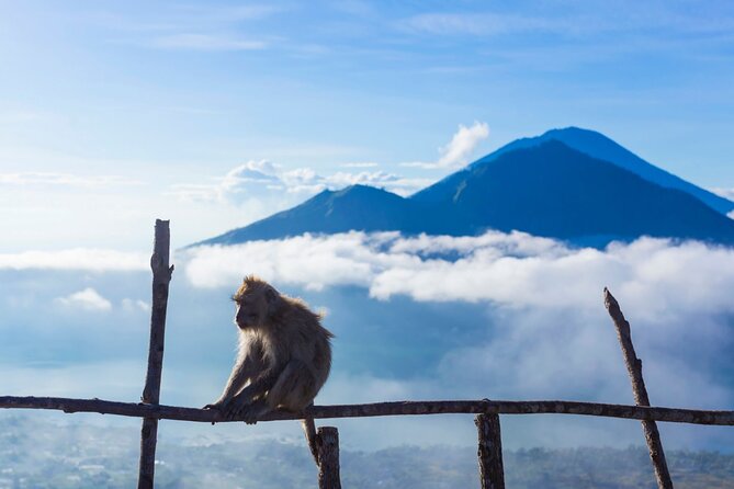 Private Mount Batur Sunrise Trekking Tour - What the guide can add to the experience