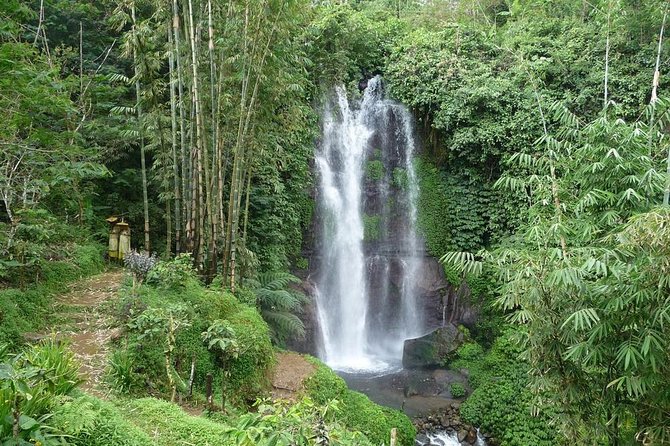 Private Munduk Waterfalls Trekking Tour - Why Munduk makes a better trek than another beach day