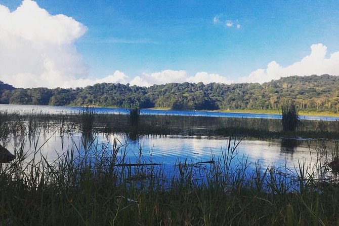 Private Munduk Waterfalls Trekking Tour - Coffee country and the Kopi Luwak stop