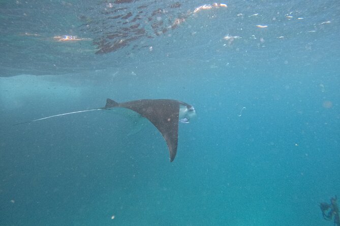PRIVATE Nusa Penida on Boat Snorkeling & Island Tour (INCLUSIVE) - The fast ferry from Sanur to Nusa Penida
