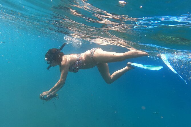 Private Nusa Penida Snorkeling Tour - Manta Bay: exciting wildlife, uncertain conditions