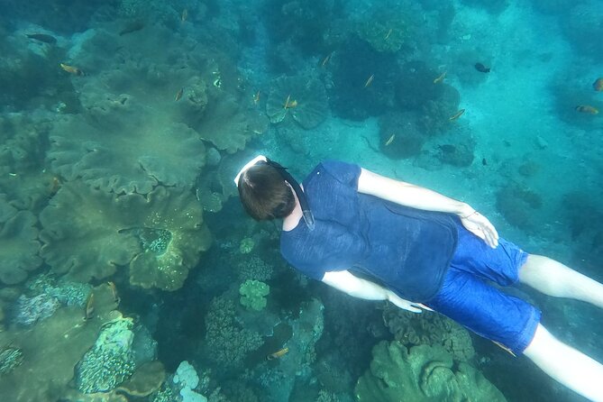 Private Nusa Penida Snorkeling Tour - Crystal Bay, Gamat Bay, and Wall Point