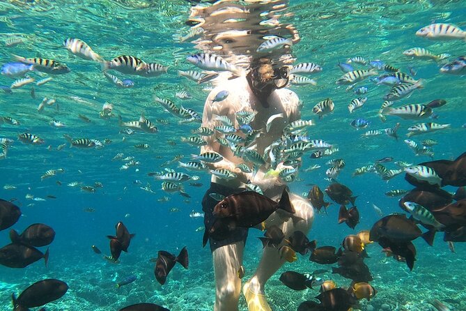 Private Snorkeling from Nusa Penida - From Sanur Harbour to Nusa Penida