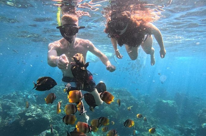 Private Snorkeling from Nusa Penida - Wall Point and the underwater wall