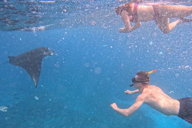 Private Snorkeling from Nusa Penida - Gamat Bay and the appeal of a private boat