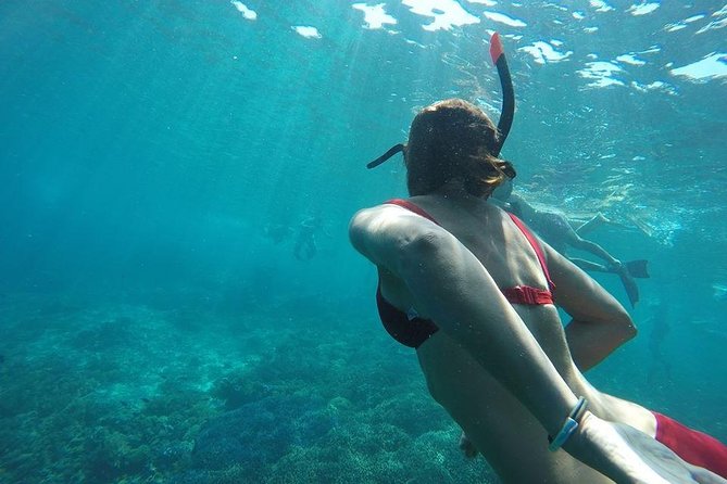 Private Snorkeling Gili Island (Coral, Statue and Turtle) - Sunken scooters and a different kind of underwater sight