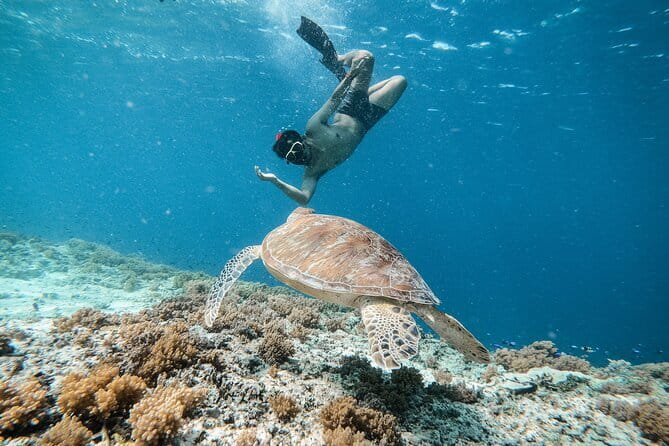 Private Snorkeling Gili Island Including GoPro Camera - Meeting near Gili Trawangan harbor