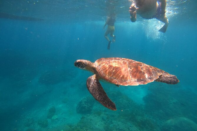 Private Snorkeling in Manta Bay, Gamat Bay & Wall at Nusa Penida - Key points at a glance
