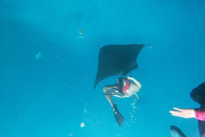 Private Snorkeling in Manta Bay, Gamat Bay & Wall at Nusa Penida - Gamat Bay and the appeal of a smaller group