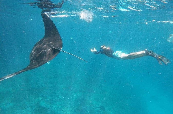 Private Snorkeling in Manta Bay, Gamat Bay & Wall at Nusa Penida - Wall Point or Crystal Bay, depending on conditions