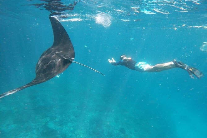 Private Snorkeling in Manta Bay, Gamat Bay & Wall at Nusa Penida - Equipment and instructor support