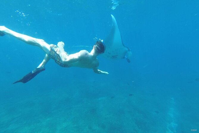 Private Snorkeling in Manta Bay, Gamat Bay & Wall at Nusa Penida - Indonesian lunch and the return journey