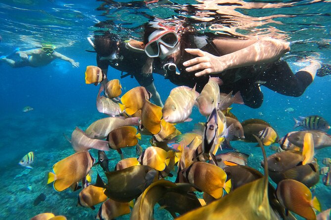 Private Snorkeling in Manta Bay, Gamat Bay & Wall at Nusa Penida - Manta Bay: exciting, but never promised