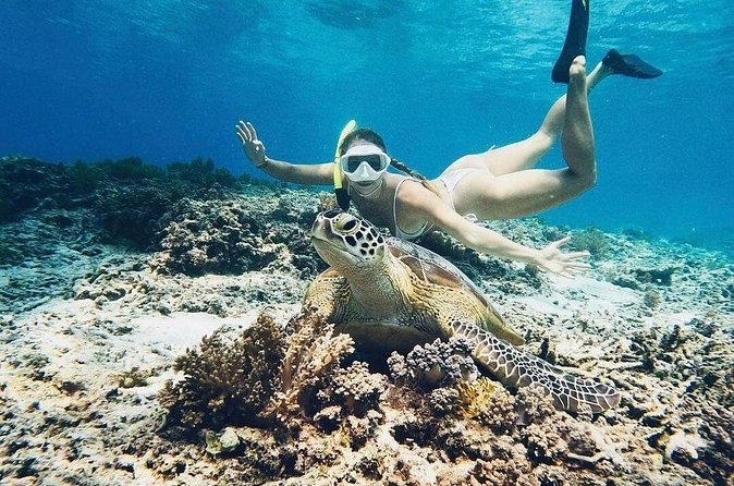 Private Snorkeling Start Gili Meno and Explore 4 Spots with GoPro - Turtle Heaven is the main wildlife moment