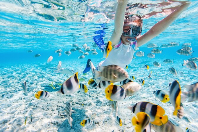Private Snorkeling Start Gili Meno and Explore 4 Spots with GoPro - Fish Garden offers a close look at smaller life