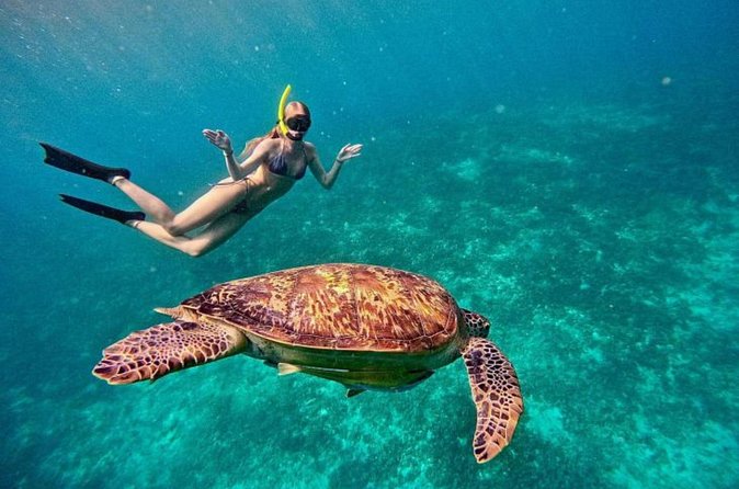Private Snorkeling Start Gili Meno and Explore 4 Spots with GoPro - Gili Air adds a break on land