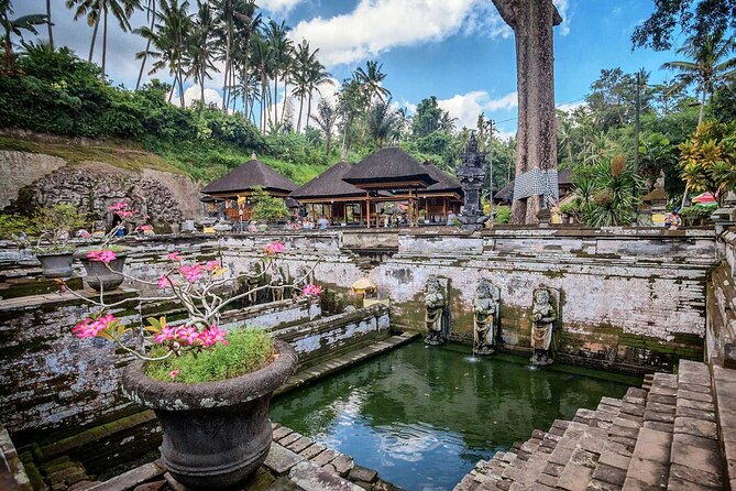 Private Tour : Bali Best Waterfalls, Temples and Monkey Forest - Sangeh Monkey Forest, more than an animal encounter