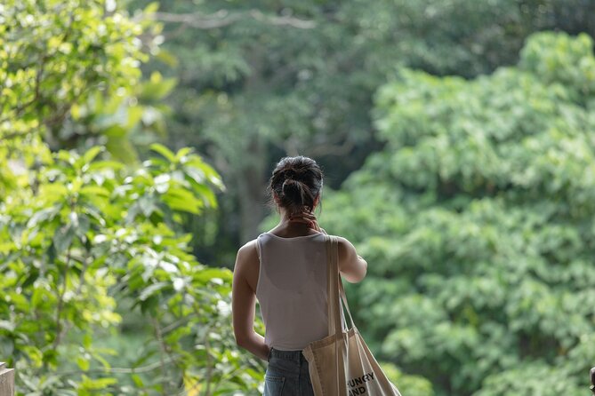 Private Tour : Bali Best Waterfalls, Temples and Monkey Forest - Vehicle comfort and the long road day