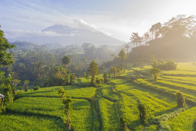 Private Tour: Bali Temple and Countryside Tour - Ulun Danu Bratan and the lake setting