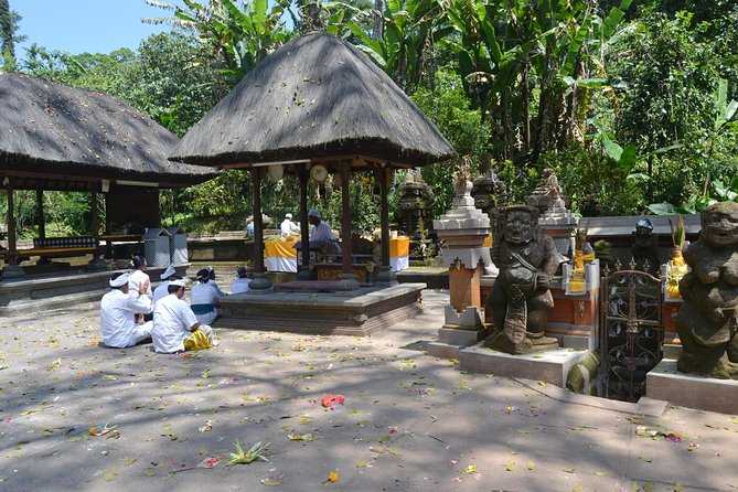 Private Tour: Bali Temple and Countryside Tour - Is $65 good value for a private day?