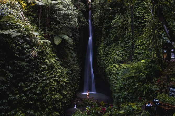 Private Tour: Bali Temples, Hidden Waterfall and Handara Gate - What the $64.70 price really covers