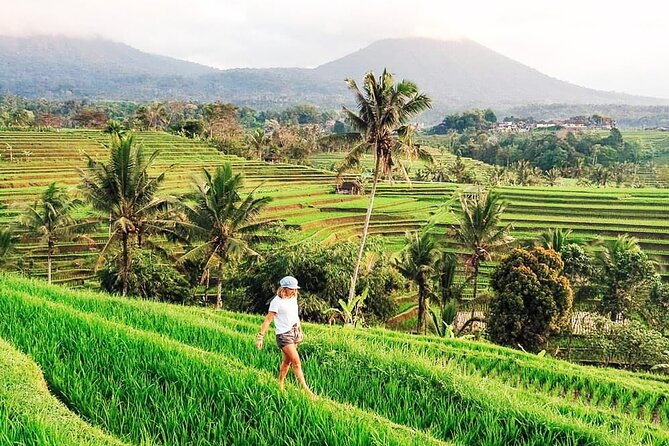 Private Tour: Bali UNESCO World Heritage Sites - Jatiluwih shows Bali at its grandest